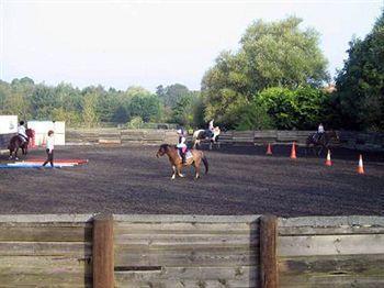 Willowbrook Riding Centre Chichester Eksteriør billede